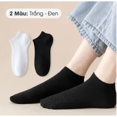 (Tất Nam/Nữ Cổ Ngắn)Combo 2/5/10/20 Đôi Đen Trắng Cổ Lười Dễ Mang Thấm Hút Mồ Hôi Tốt ,Co Dãn 4 Chiều