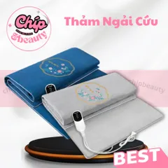 Thảm Ngải Cứu Thảo Dược. Đệm Ngải Cứu Đông Y Làm Ấm Cơ Thể, Giảm Đau Nhức