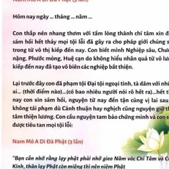 TO55 - Tờ sám hối tội ngoại tình (A4) 840556