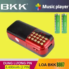 Loa Thẻ Nhớ, Nghe Kinh Phật BKK B867 (Kèm 2 Pin) có hoả tốc 840599