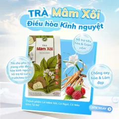 Trà Mâm Xôi Tứ Vị Túi Lọc Hộp 30 Gói   Mâm Xôi - Cỏ Ngọt - Cỏ Máu - Sâm Tố Nữ