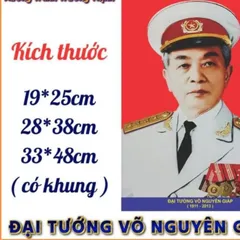 Tranh ĐẠI TƯỚNG VÕ NGUYÊN GIÁP - có khung cực đẹp
