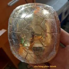 quẻ bói mai rùa vàng có hoả tốc