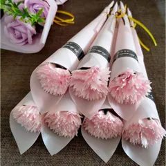 Hoa cẩm chướng sáp