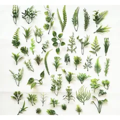 100gr cỏ điểm