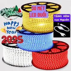 30M Combo Đèn LED dây đôi 2835, Dây led trang trí ngoài trời Siêu sáng =>>Tặng Nguồn LED