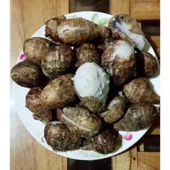 Khoai sọ loại ngon, bở và rất dẻo( đóng gói 1kg)