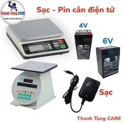 Sạc pin cân điện tử hệ 4V và 6V