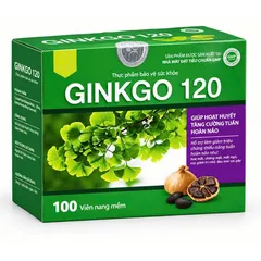 Ginkgo Biloba 120mg Hỗ Trợ Tuần Hoàn Máu Não, Tăng Cường Trí Nhớ