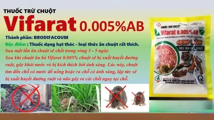 Combo diệt chuột sinh học dạng hạt thóc _ thức ăn chuột rất thích vifarat 0.005 % ab, gói 50 gam, tác dụng sau 3-5 ngày
