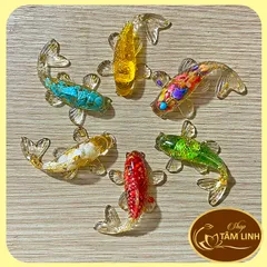 Cá koi phong thuỷ ,cá koi chiêu tài, có xu tài lộc, thả bát hoa minh đường tụ thuỷ thờ thần tài.