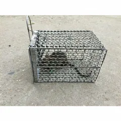Bẫy chuột mạ kẽm đa sỹ
