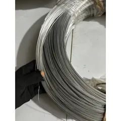 10 Mét dây inox 304 mềm dẻo - Dây thép inox không rỉ loại 0.8li