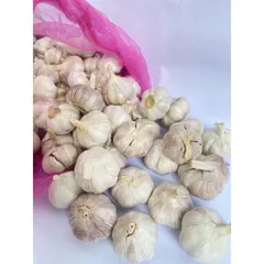 1 Kg Tỏi củ to chắc thơm ngon, tỏi nguyên nhánh to tròn