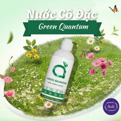 [ Hàng Chính Hãng ] Nước Uống Cô Đặc Green Quantum/ Mát gan/ Bổ sung diệp lục