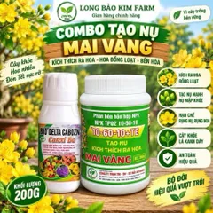 Combo Tạo Nụ Mai Vàng 10-60-10 TE + Canxi Bo Sữa Chống Rụng Hoa Trái Non Kích Thích Ra Nụ Mạnh Đều Đẹp