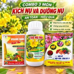 Combo 3 Món Kích Nụ Dưỡng Nụ Mai – Tạo Nụ 0-38-7 250ml + Kali Bo 25g + Canxi Nitrate 100g – Hoa To, Màu Đẹp lâu tàn