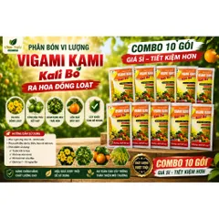 COMBO 10 GÓI SIÊU KALI BO RA HOA ĐẬU QUẢ CHỐNG RỤNG TRÁI NON GÓI 25GR