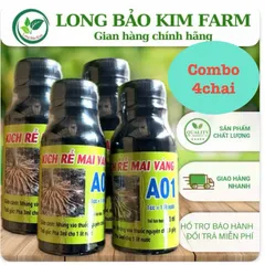 Kích rễ mai vàng A01 combo 4chai 100ml hàng công ty Hải An Khang