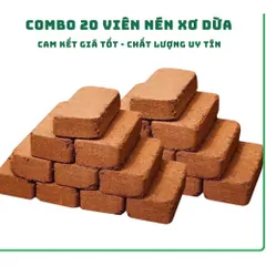 Combo 10 Viên Nén Xơ Dừa, Đất Trồng Cây Hữu Cơ Tiện Lợi, Giàu Chất Dinh Dưỡng