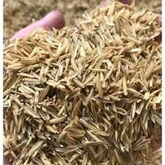 3 kg trấu khô, trấu sống, trấu sạch