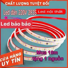 Đèn led dây dán 220V siêu sáng chống nước trang trí dán kệ tủ trưng bày hắt trần thạch cao