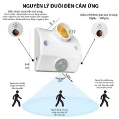 Đuôi đèn cảm ứng chuyển động thông minh, tiện lợi