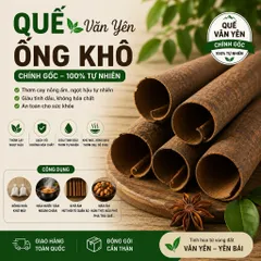 500g Ống Quế Kèn Khô 15-25cm Văn Yên Chính Gốc Nhiều Tinh Dầu - Nấu Phở, Pha Trà, Xông Nhà, Trang Trí