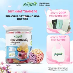 Sữa Chua Sấy Thăng Hoa Ít Đường, Mix 05 Vị, Hũ 90g - Your Superfood