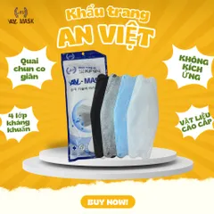 Thùng 300 Cái Khẩu trang Cá 4D KF94  AN VIỆT chính hãng 4 lớp kháng khuẩn chống tia UV
