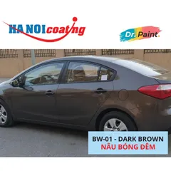 Bình sơn Xịt Xóa Vết Xước Xe Ô tô KIA K3 Màu NÂU BÓNG ĐÊM Code BW-01 - DARK BROWN chính hãng DR.PAINT
