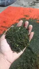 500g Trà Tấm Đinh Thượng Hạng