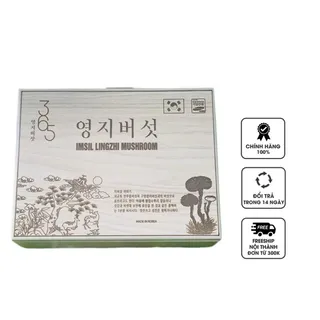 Nấm linh chi 365 Hàn Quốc bản hộp gỗ