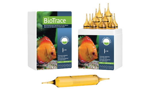 Thức ăn vi sinh Prodibio BioTrace cho bể cá nước ngọt