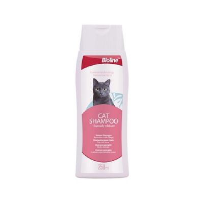 Dầu gội cho mèo Bioline Cat Shampoo
