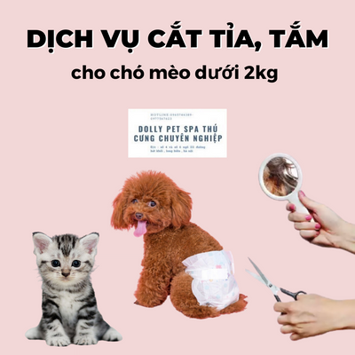 Voucher cắt tỉa và tắm trọn gói cho chó mèo dưới 2kg