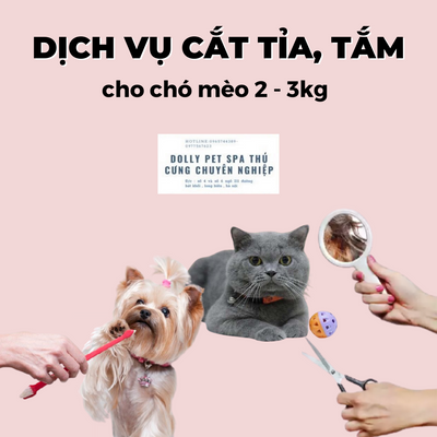 Voucher cắt tỉa và tắm trọn gói cho chó mèo từ 2 đến 3kg