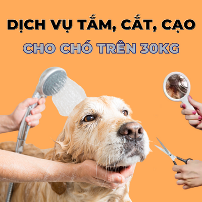 Voucher dịch vụ tắm cắt cạo lông cho chó trên 30kg