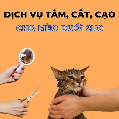 Voucher Dịch Vụ Tắm Cắt Cạo Mèo Dưới 2kg