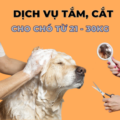 Voucher dịch vụ tắm cắt cho chó 21 đến 30kg