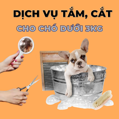 Voucher dịch vụ tắm cắt cho chó dưới 3kg chuyên nghiệp