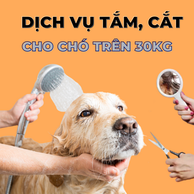 Voucher dịch vụ tắm cắt cho chó trên 30kg