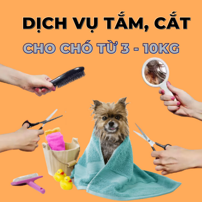 Voucher dịch vụ tắm cắt cho chó từ 3 đến 10kg