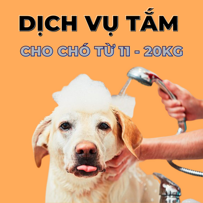 Voucher dịch vụ tắm cho chó 11 đến 20kg chuyên nghiệp