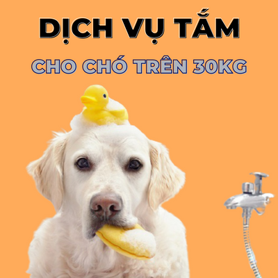 Voucher dịch vụ tắm cho chó trên 30kg theo chuẩn spa