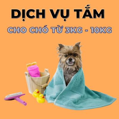 Voucher dịch vụ tắm cho chó từ 3 – 10kg chuyên nghiệp