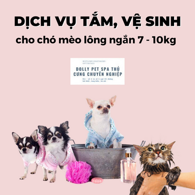 Voucher dịch vụ tắm, vệ sinh cho chó mèo lông ngắn 7 đến 10kg