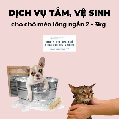 Voucher tắm và vệ sinh trọn gói cho chó mèo lông ngắn 2 – 3kg