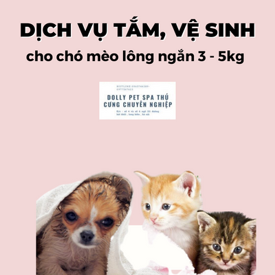 Voucher tắm và vệ sinh trọn gói cho chó mèo lông ngắn 3 đến 5kg