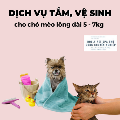 Voucher tắm vệ sinh trọn gói cho chó mèo lông dài 5kg đến 7kg